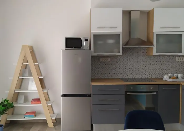 Apartment Vukic - *